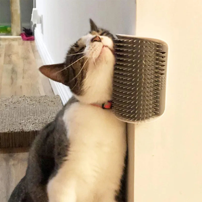 Cat Scratcher