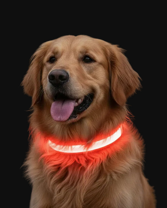 Lumi Collar