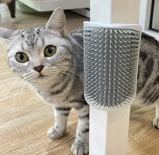 Cat Scratcher