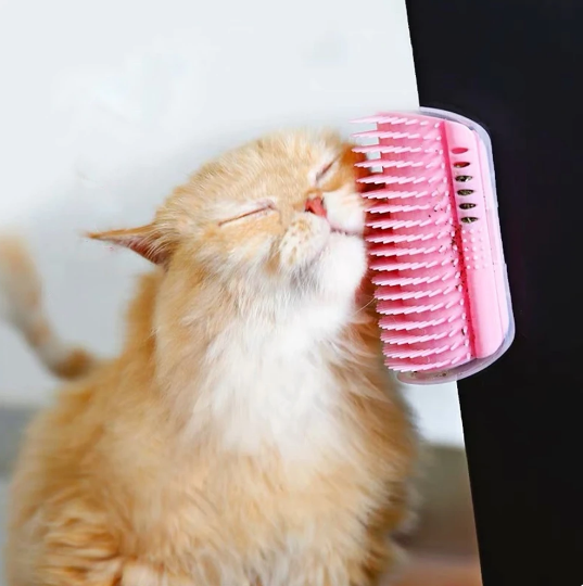 Cat Scratcher